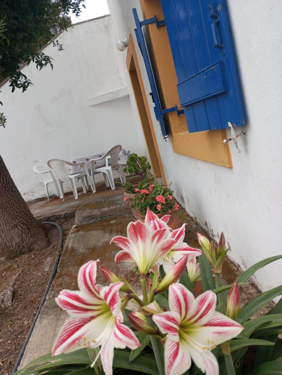 Beautiful In Mylopotamos, Good Price! Appartement Milopotamos (Kythira)